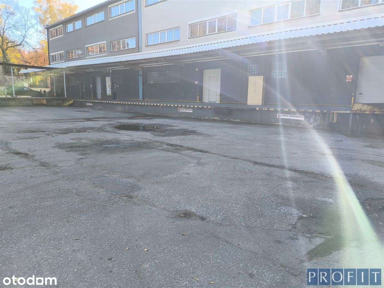 Magazyn457m2 | rampa | parter - Pełny obrazek: 5/5