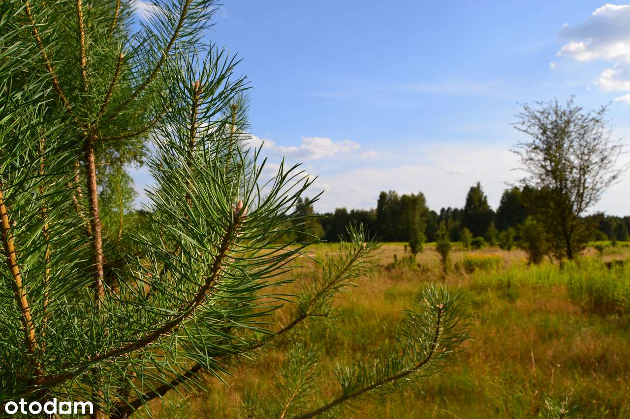 Twoje miejsce na rekreacyjny dom pod miastem-16