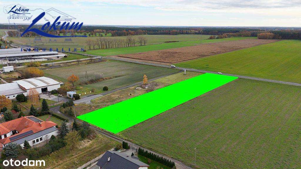 Gołanice - duża działka, wydanyne WZ - Pełny obrazek: 5/5