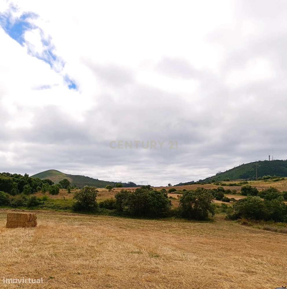 Vende-se Terreno Rústico com Vista Deslumbrante em Zona Agroflorestal - Grande imagem: 4/14