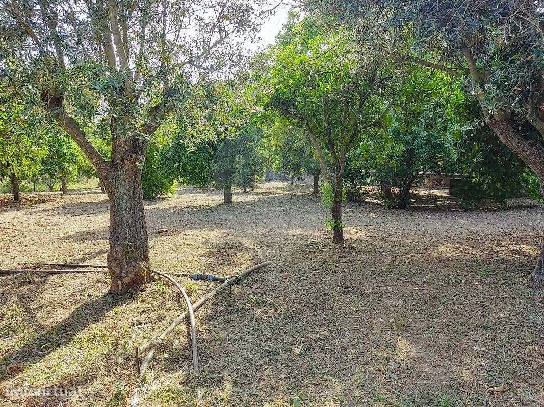 Terreno  para venda - Grande imagem: 4/9