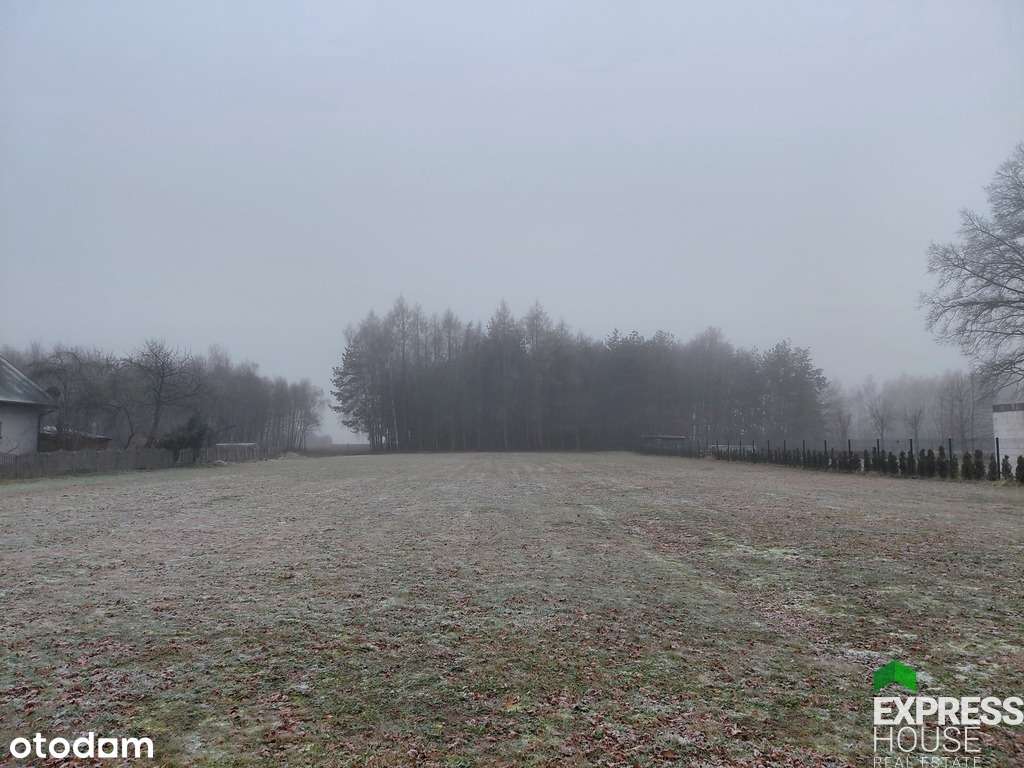 Działka 2824 m2 w Anielinie k. Łasku - Pełny obrazek: 2/9