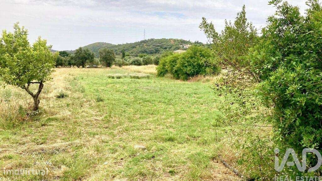 Terreno Agrícola em São Brás de Alportel - Grande imagem: 3/10