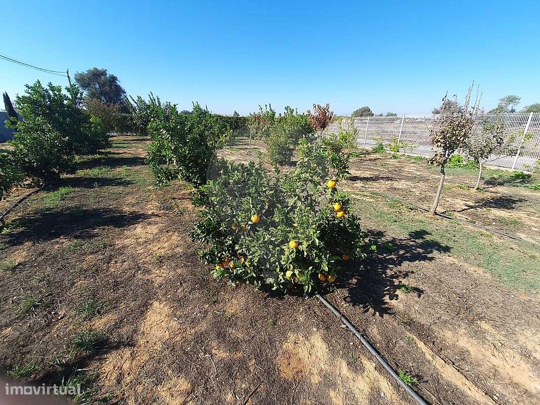 Quinta  para venda-6