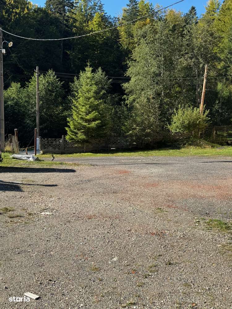 Teren Predeal Central-0