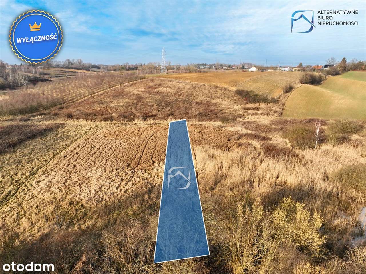 Działka rolna w Rudniku Gmina Wólka - Pełny obrazek: 4/12