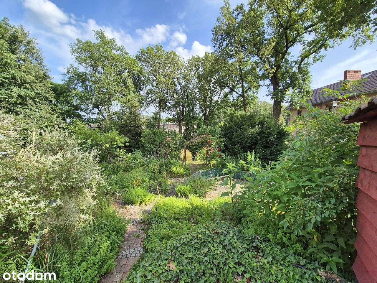 Dom jednorodzinny-działka 1600m2 - przyroda, cisza - Pełny obrazek: 5/20