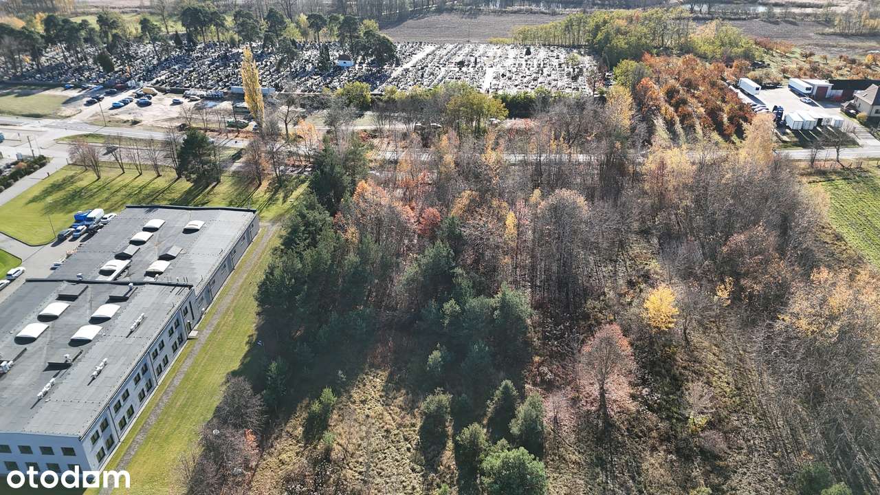 Grunt pod produkcję i usługi na wjeździe do Tarczyna, niecałe 2km odS7-9