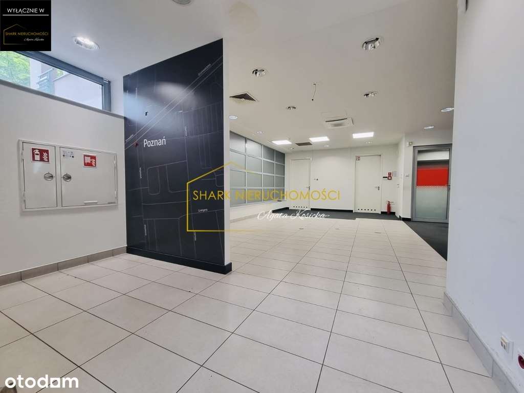 Przestronny OPEN SPACE + 3 GABINETY - WOJSKOWA - Pełny obrazek: 4/20