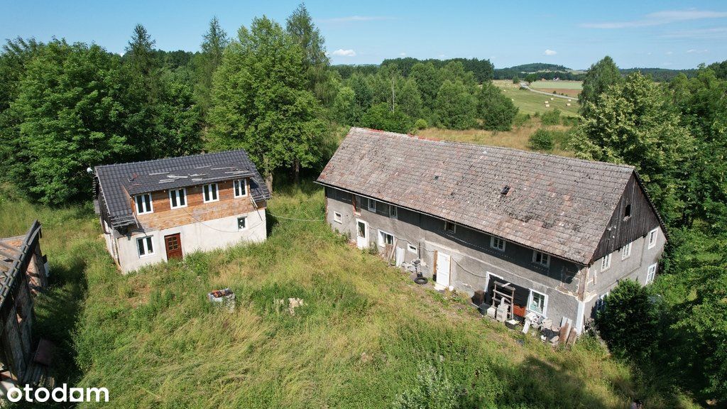 Gospodarstwo z dużą działką