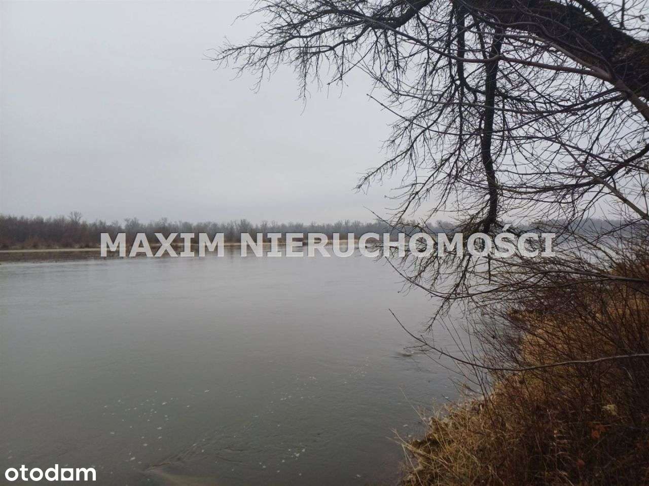 Piękna działka na skarpie nad Wisłą(Zdziarka) - Pełny obrazek: 3/20