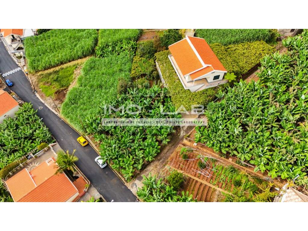 Terreno com 430m2 - Ponta do Sol-8