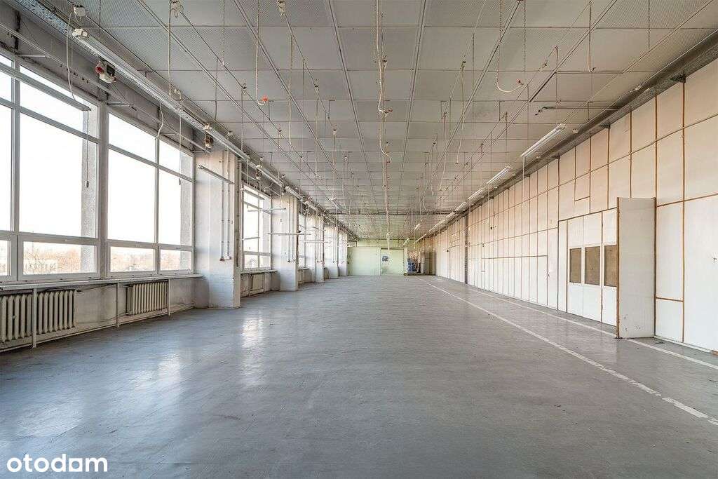 Do wynajęcia 3 Piętro na Piotrkowskiej !! - Pełny obrazek: 2/5