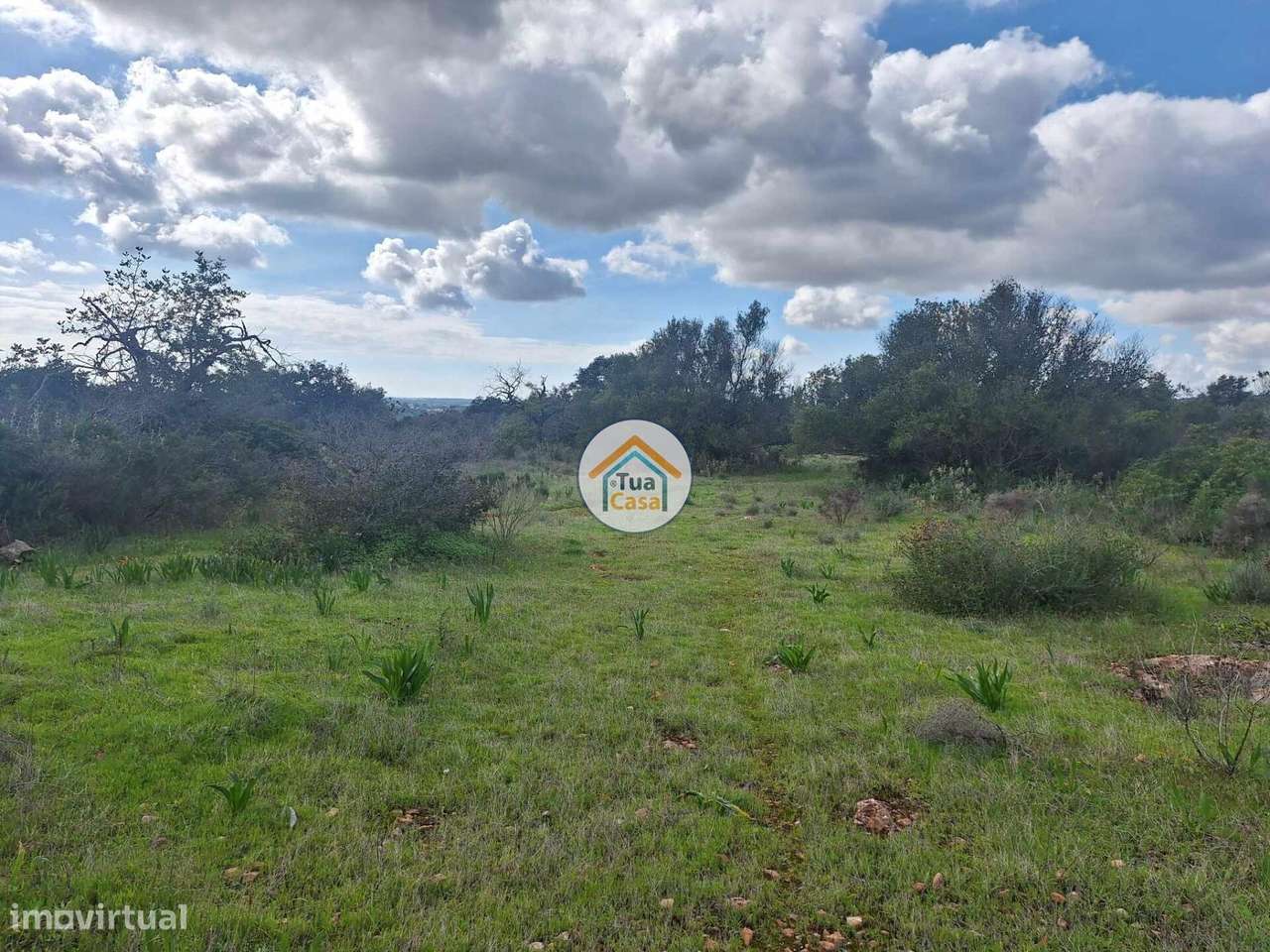 Terreno com ruína - Grande imagem: 2/18