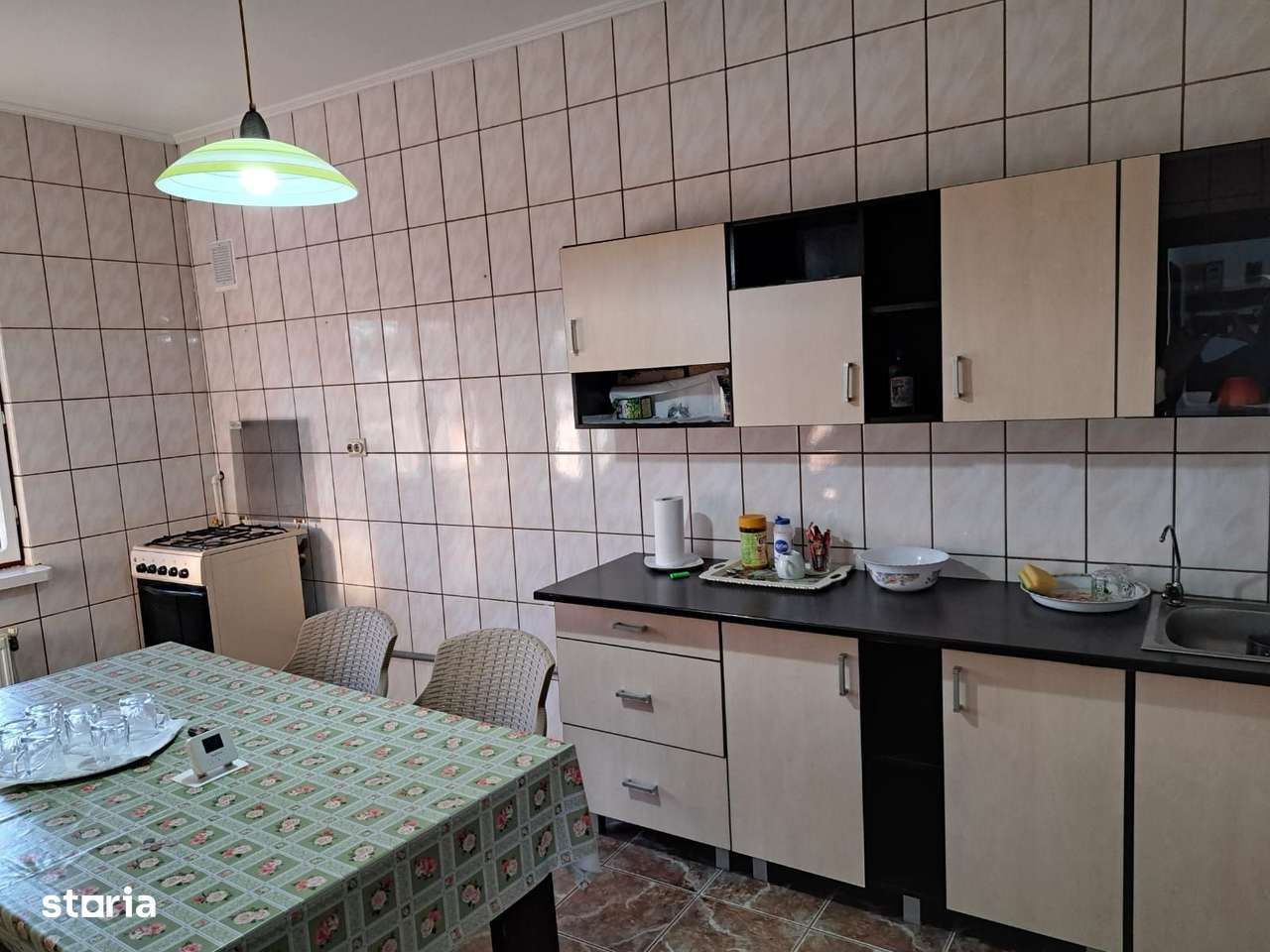 OFERTĂ in Băcia, Hunedoara ! Proprietate 2 case + Cabană + Livadă-8