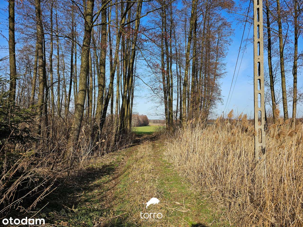 Dwie Działki 3000m² w Kęblinach z WZ - 30min od Centrum Łodzi-8