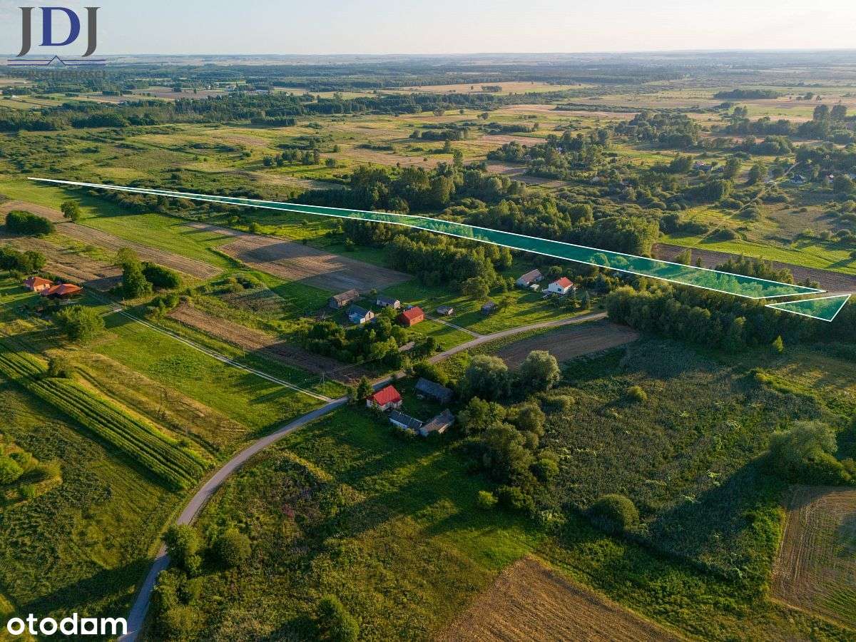 Działka.1.64 ha.Chojno Nowe Pierwsze.Lubelskie - Pełny obrazek: 3/6