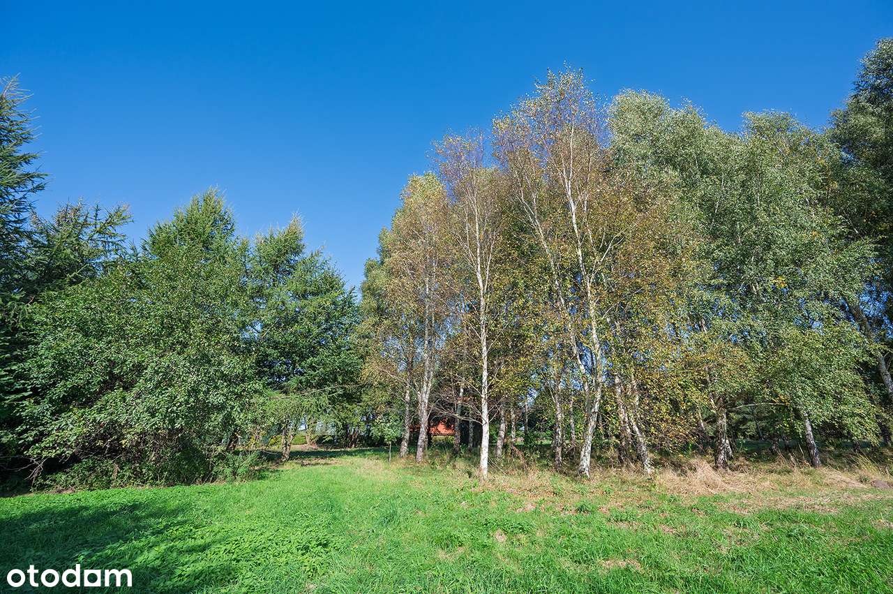 DZIAŁKA Z LASKIEM OD 500m2 do 3000m2 - Pełny obrazek: 4/4