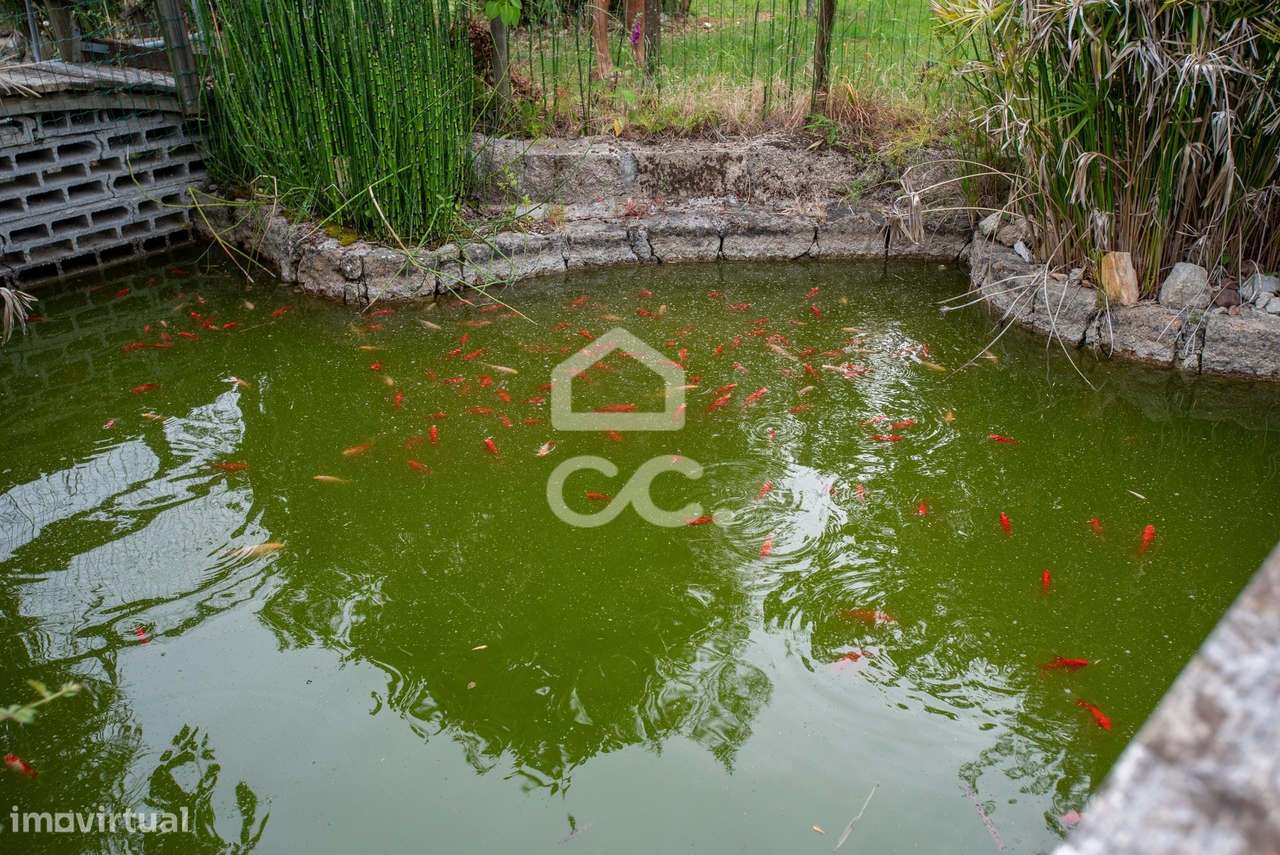 Quinta com moradia charmosa a poucos minutos do centro de Chaves-27