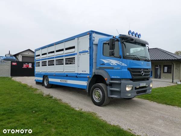 Mercedes-Benz AXOR 1829 DO ŻYWCA / ZWIERZĄT / BYDŁA Z WAGĄ / SUPER STAN / EURO 5 / DŁ. 7.50 M / CAŁY NA PODUSZKACH / DMC 18T!! - 16