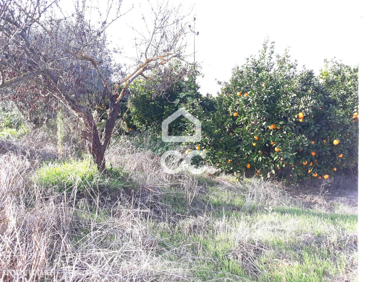 Quinta  em Beringel-17