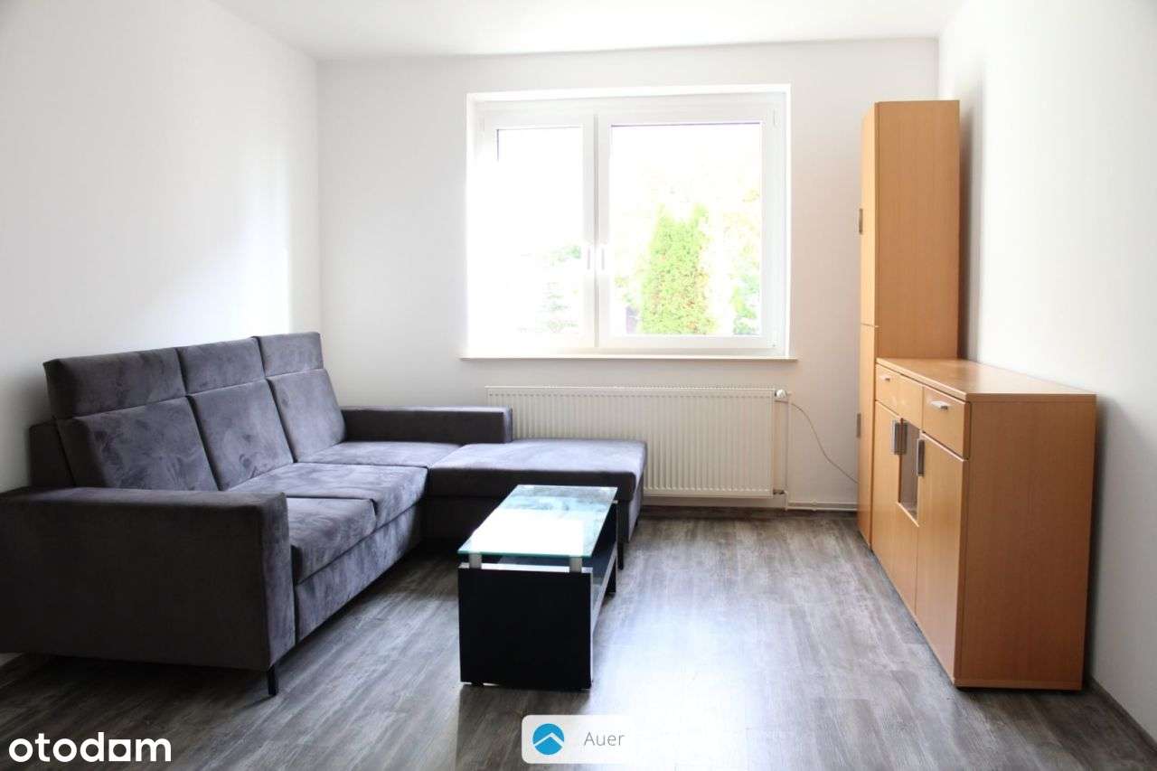 ul. Niemcewicza – 60m2, 2 pokoje, ogródek - Pełny obrazek: 4/13