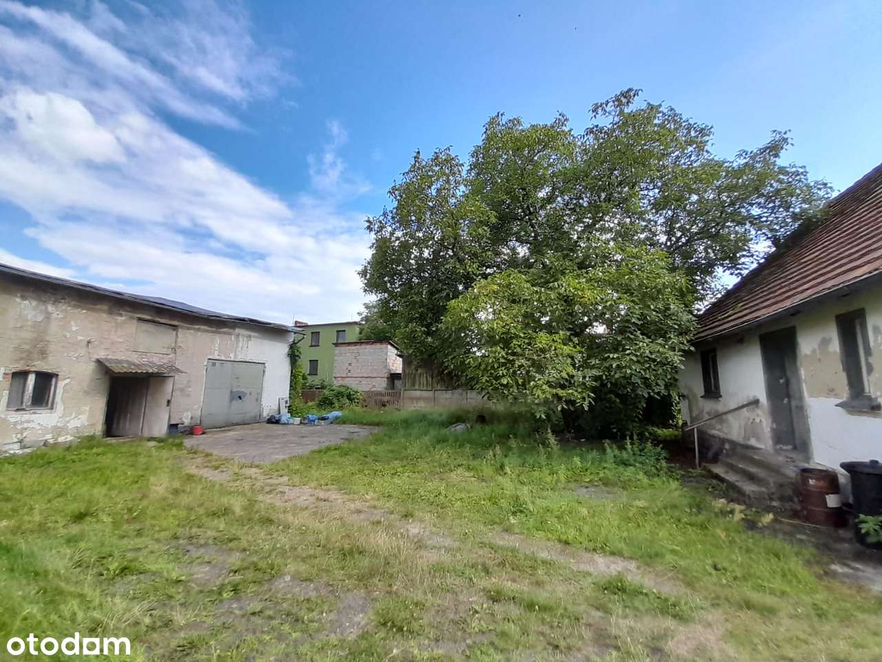 Dom na ogromnej działce wraz z halą 1485m2  – Masłowo - Pełny obrazek: 4/10