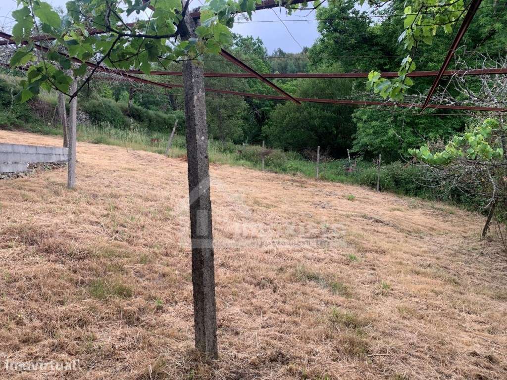 Moradia T4 para recuperar em Campelo, Figueiró dos Vinhos-8