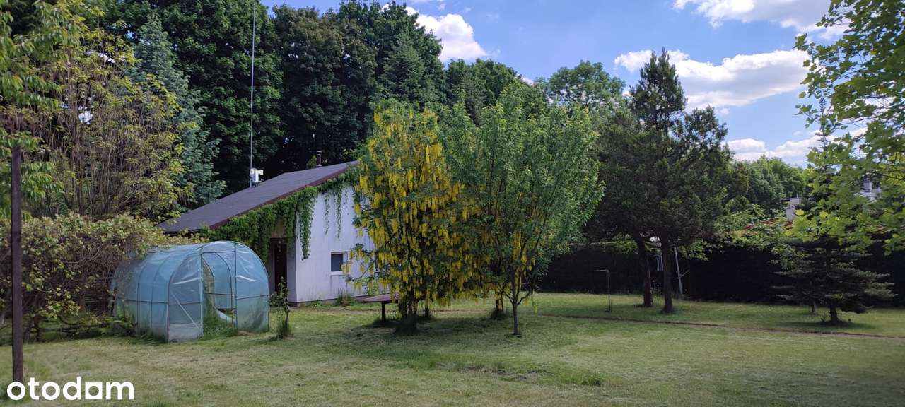 Działka rekreacyjna w spokojnej okolicy - Pełny obrazek: 3/19