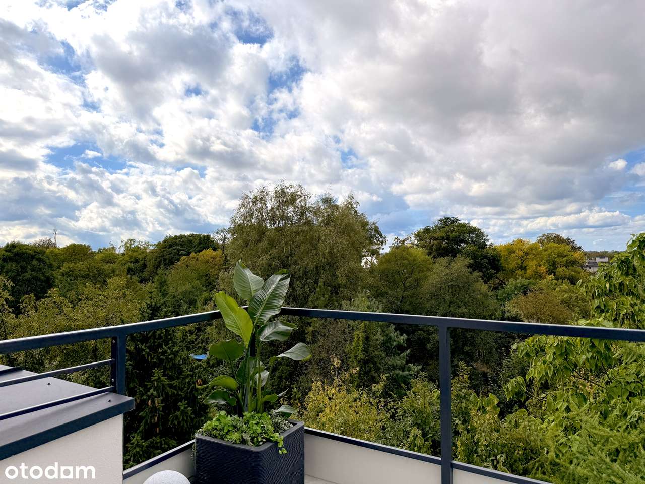 Osiedle Kochanowskiego - Gliwice-6