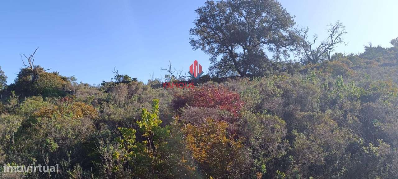 Terreno Rustico com 3680 m2  em Paderne Algarve - Grande imagem: 3/10