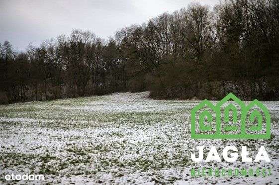 piękna działka budowlana Gruczno - Pełny obrazek: 4/10