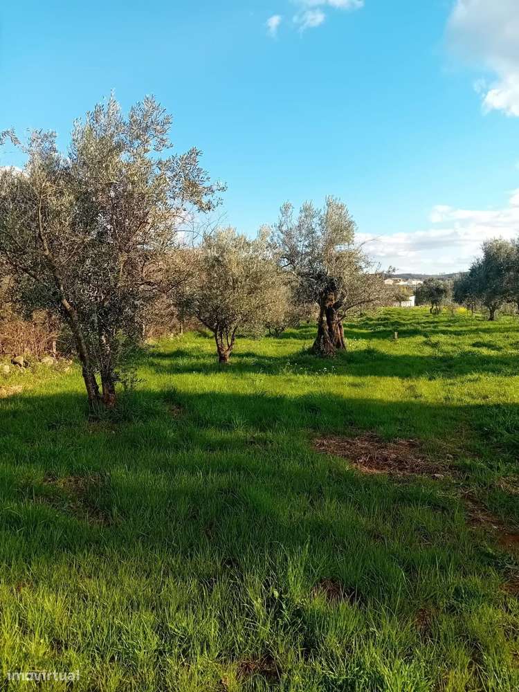 Terreno de 1040m2 junto à Praia Fluvial - Grande imagem: 5/13