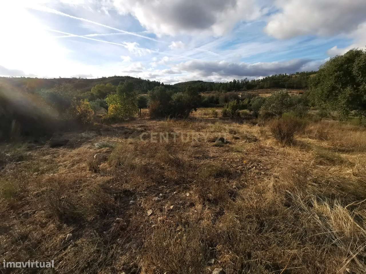 Terreno Rústico em Freixial e Juncal do Campo, Castelo Branco - Grande imagem: 4/8