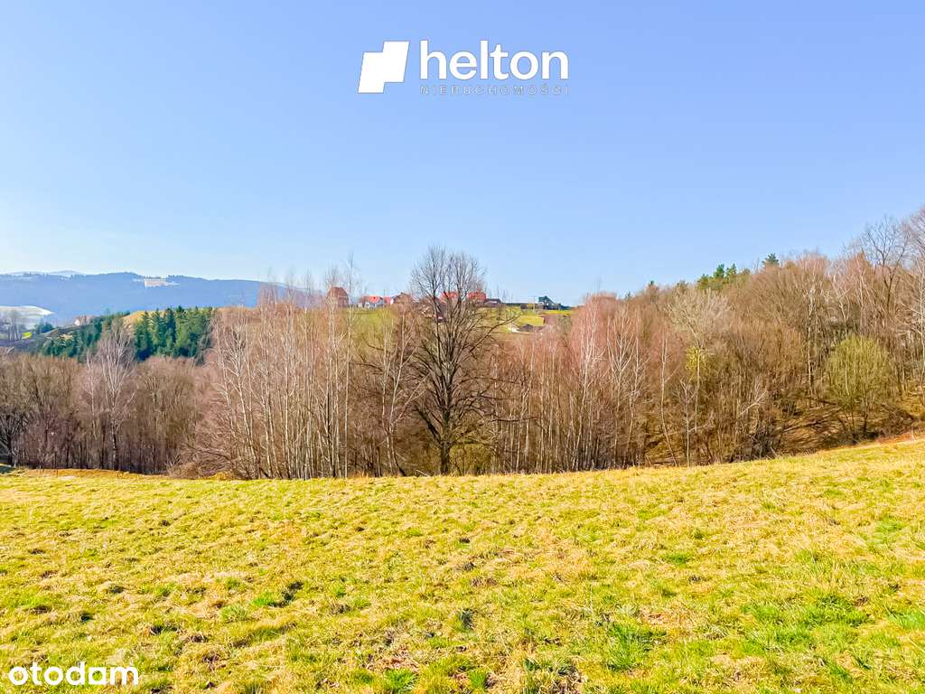 Walowa Góra gm. Limanowa widokowa działka! - Pełny obrazek: 4/8