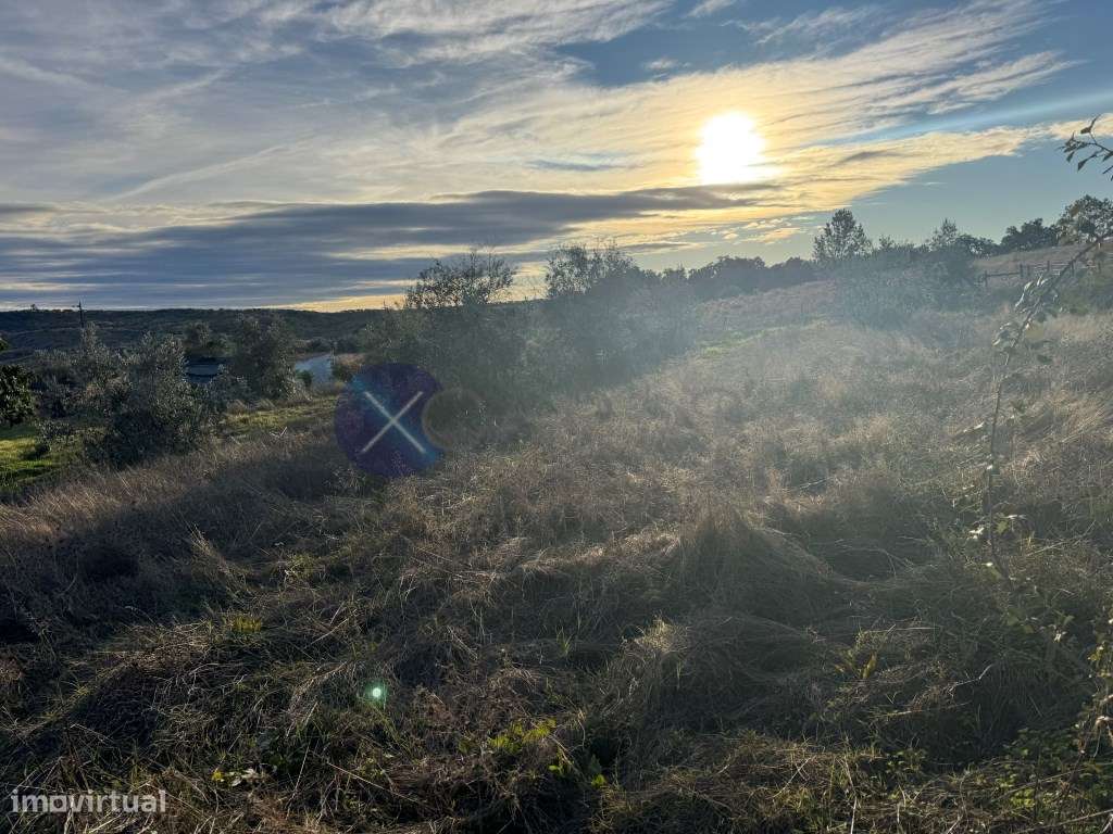 Monte Alentejano de 4 Hectares na região de Cabeção / Mora - Privac...-10