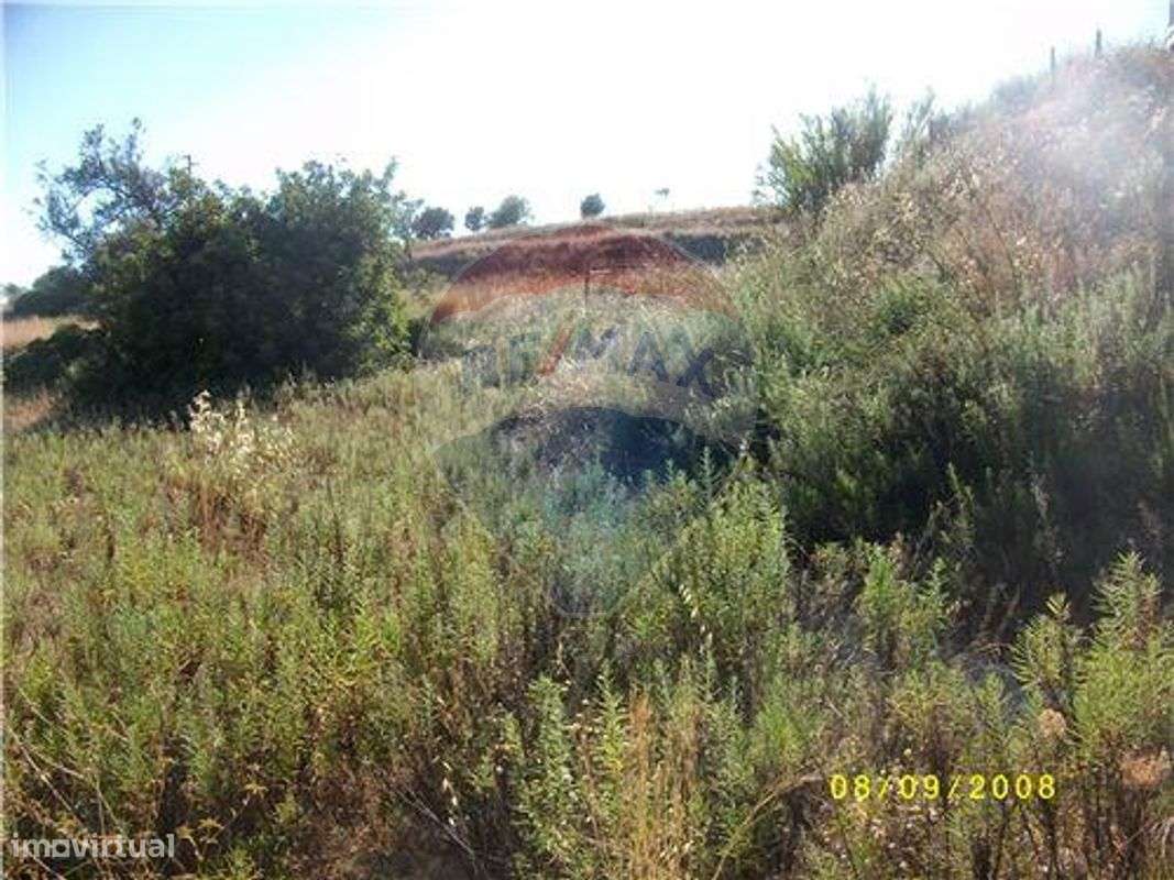Terreno  para venda - Grande imagem: 5/13