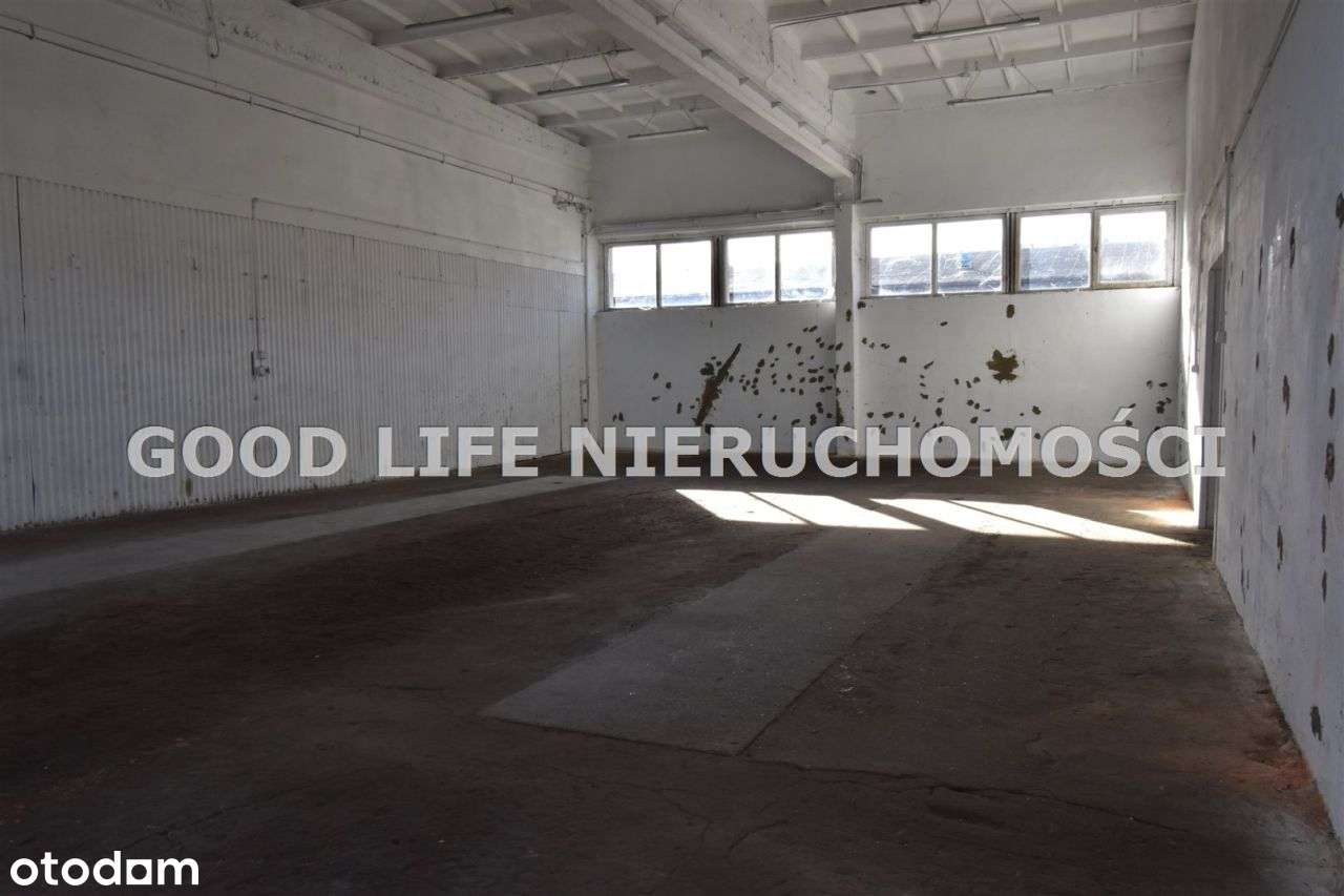 Magazyn od zaraz, dostęp całodobowy - Pełny obrazek: 5/6