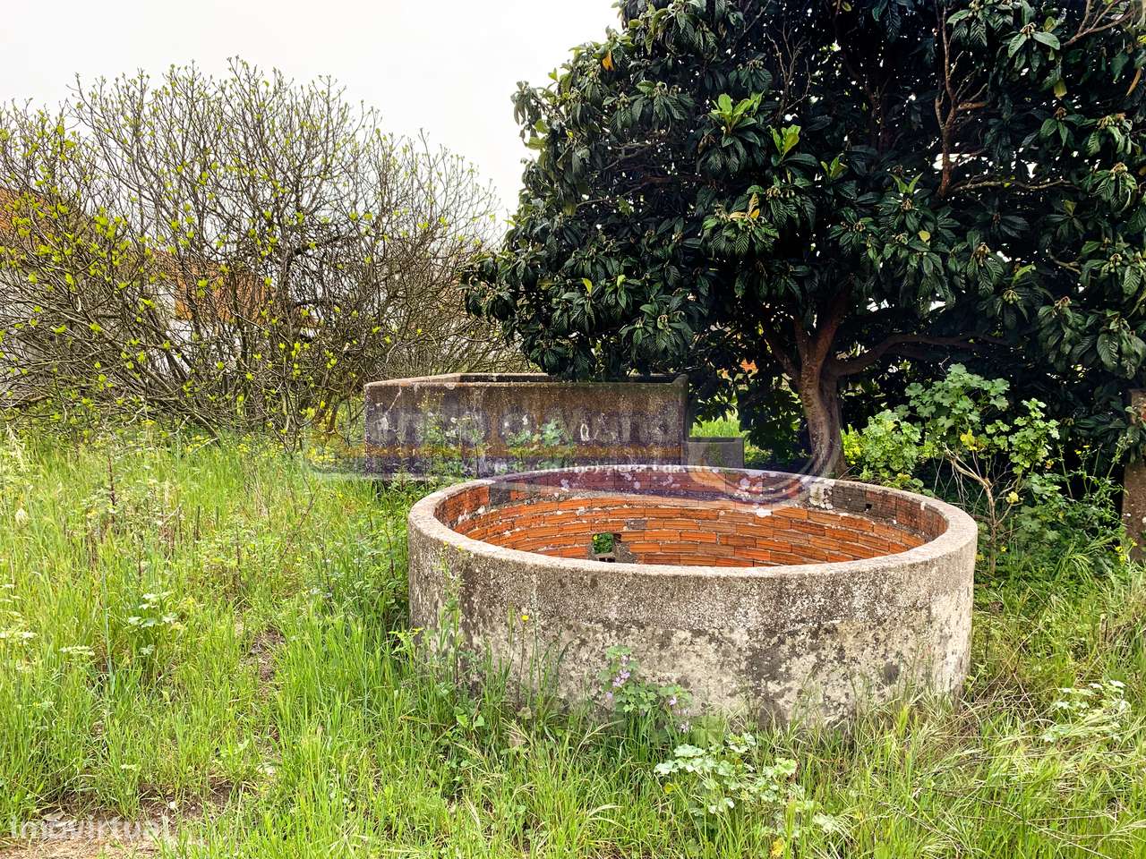 Terreno em Foros de Salvaterra (F674) - Grande imagem: 5/16