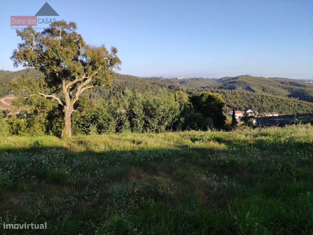 Terreno com viabilidade de construção Rocha Nova - Grande imagem: 5/8