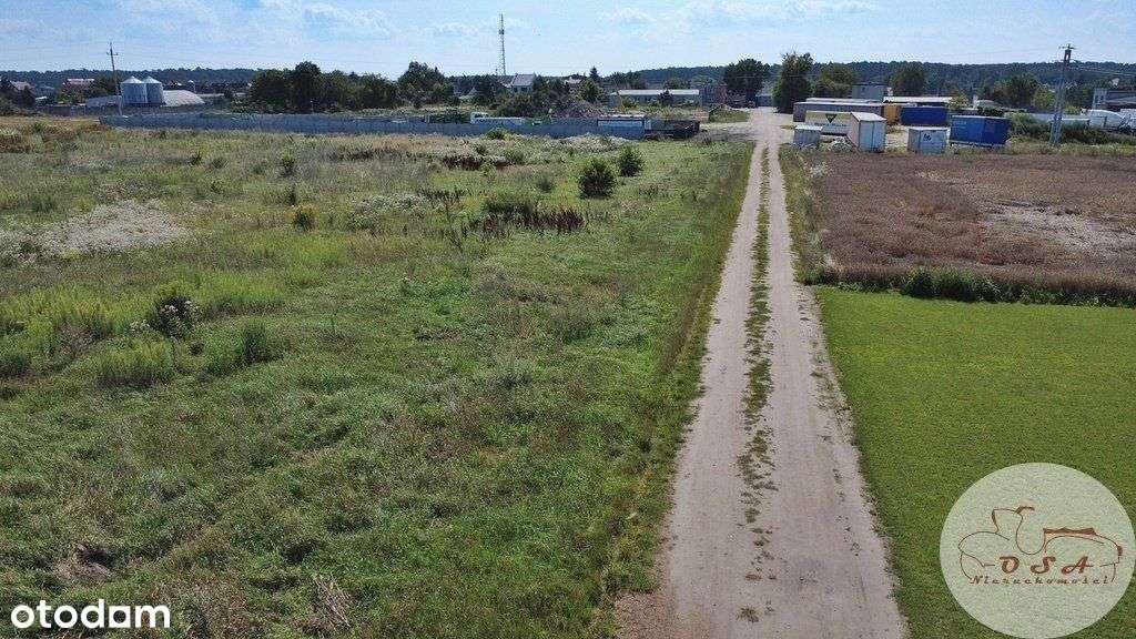 Działka z Mpzp 0,8 ha Dębienko k. Stęszewa-6