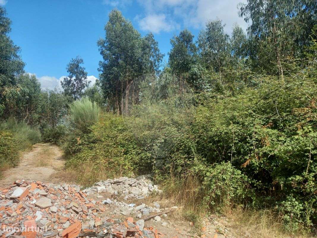 Terreno  para venda - Grande imagem: 4/11