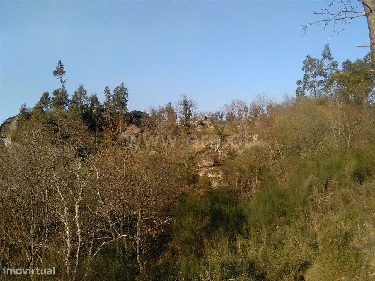 Terreno em Travassós - Grande imagem: 2/5