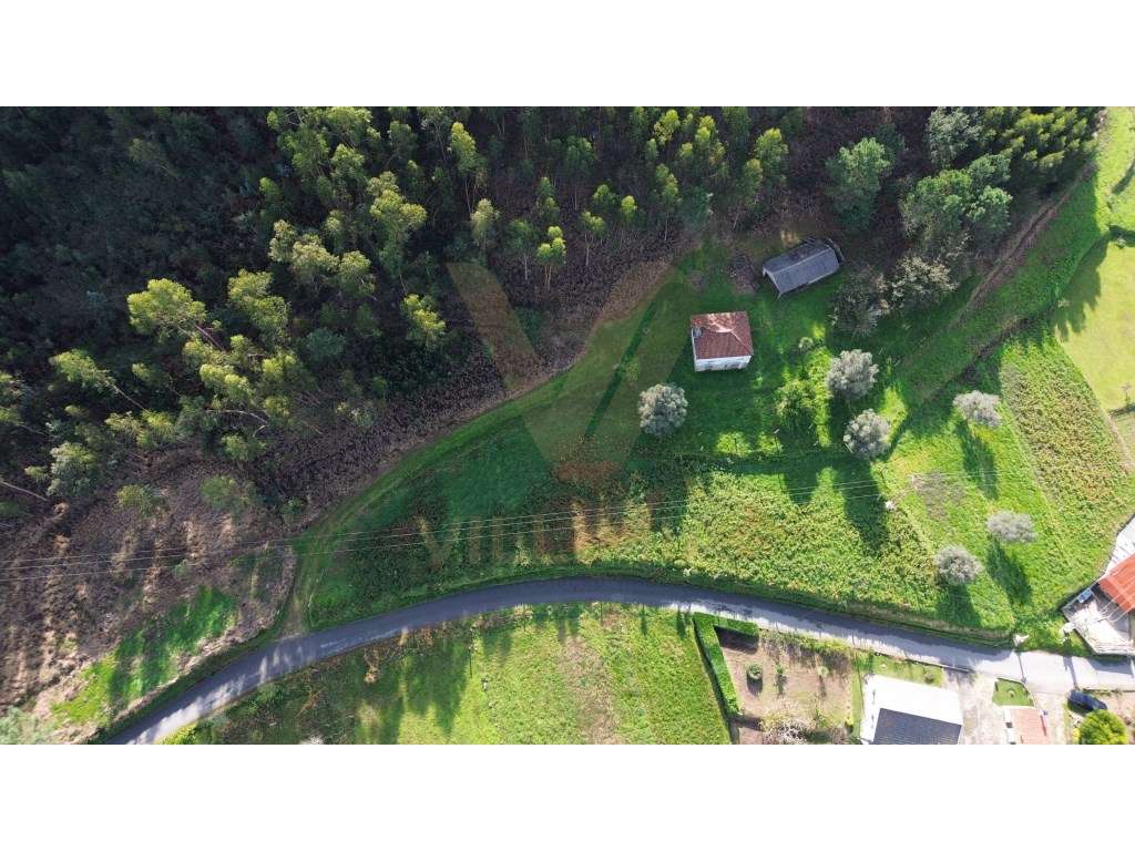 Terreno Urbano - Moreira do Lima - Ponte de Lima - Grande imagem: 4/10