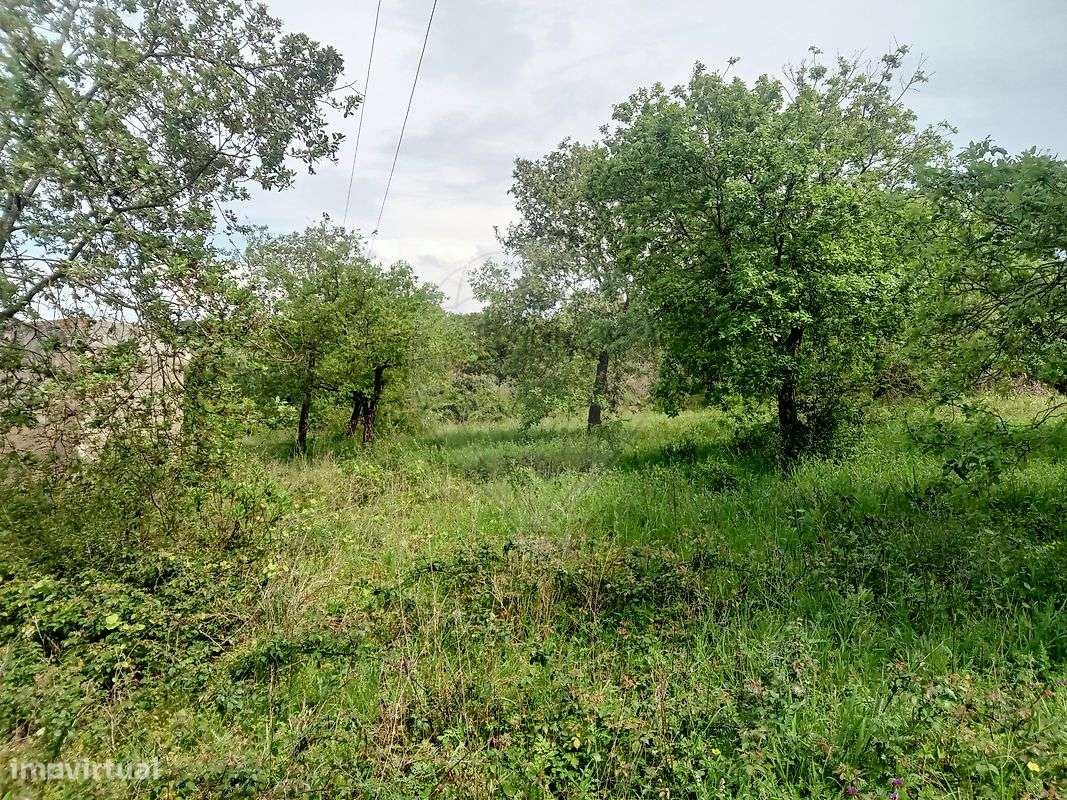 Terreno  para venda - Grande imagem: 5/13