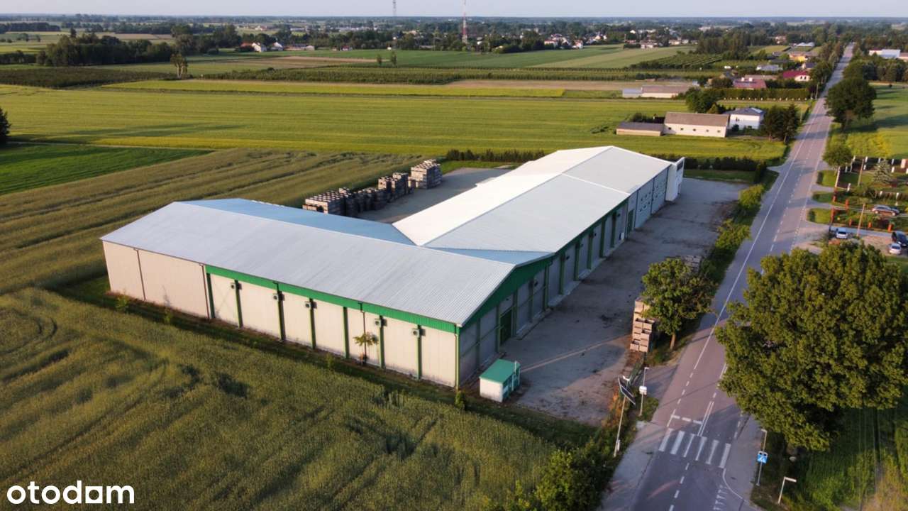 Obiekt chłodnie hala magazyn plac przetwórnia woj.lubelskie - Pełny obrazek: 5/20