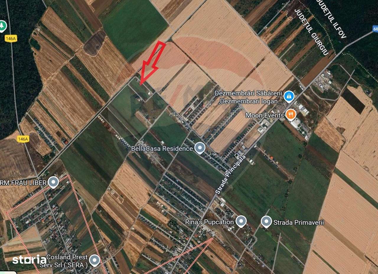 Teren lotizat 4,650mp Sabareni / Strada Cereanca - Imagine principală: 1/6