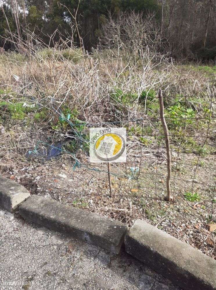 Terreno em Fiães, Santa Maria da Feira com 1100 m2 - Grande imagem: 3/6