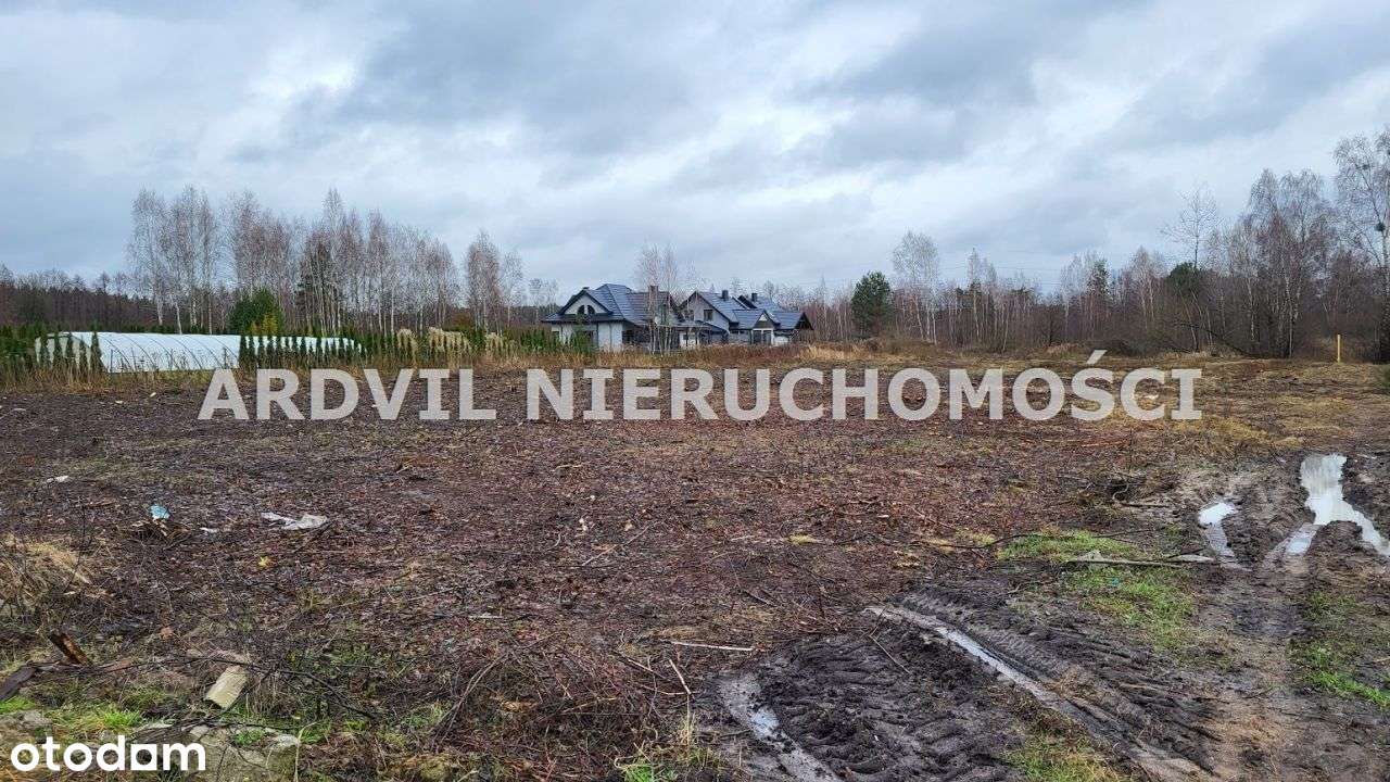 Uzbrojona Grabówka ładna-5