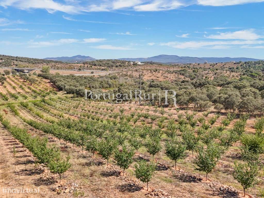 Terreno com 4ha com aptidão para construção de unidade de turismo - Grande imagem: 5/16